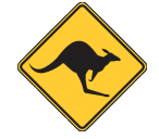 The Gold Coast Skippycoin ICG The Gold Coast Skippycoin ICG
